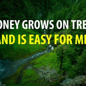 Money Grows on Trees and is Easy for Me - Affirmations for Money and Abundance