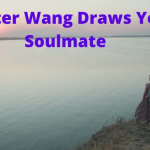 Master Wang Soulmate Drawing Review #MasterWangDrawing #ipaidapsychictodrawmysoulmate #Shorts