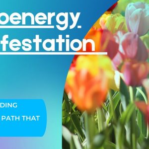 Bioenergy Manifestation - My Soul Reading Reveals The Path That MY Soul