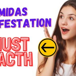 Midas Manifestation Review 2021 – MUST SEE before you buy