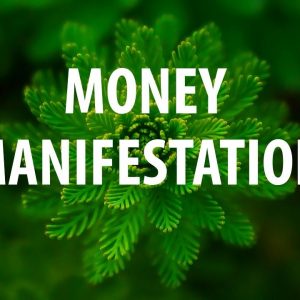 Money Manifestation - Affirmations for Abundance, Prosperity, Success