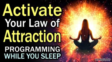 Activate Your LAW of ATTRACTION - Manifest Your Desires - Wealth Affirmations While You Sleep