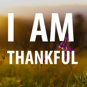 GRATITUDE AFFIRMATIONS - Count Your Blessings