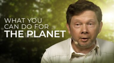 What You Can Do about Climate Change | Eckhart Tolle on the Current Ecological Situation
