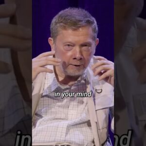 Wisdom begins the moment you stop arguing with life and return to what is right now.